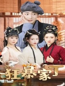 短剧狂暴家丁海报