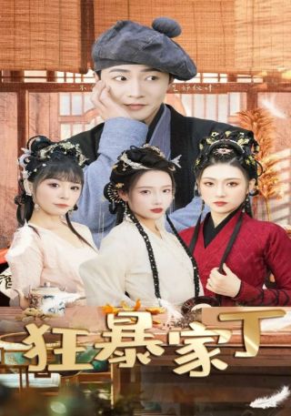 短剧狂暴家丁海报