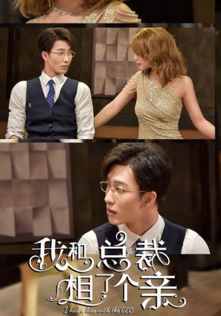 短剧我和总裁相了个亲海报