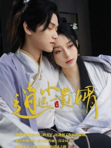 短剧逍遥小贵婿海报