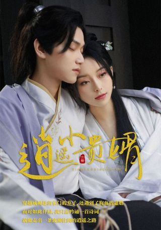 短剧逍遥小贵婿海报