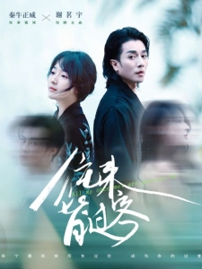 短剧往来皆过客海报