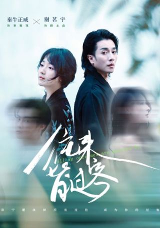 短剧往来皆过客海报