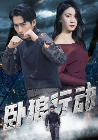 短剧卧狼行动海报