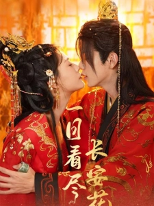 短剧一日看尽长安花海报