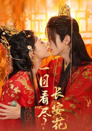 短剧一日看尽长安花海报