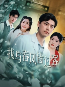 短剧我与春风皆过客海报