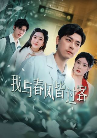 短剧我与春风皆过客海报