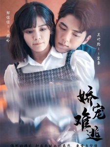 短剧娇宠难逃海报