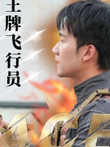 短剧王牌飞行员海报