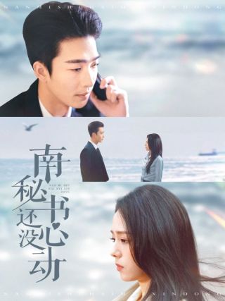 短剧南秘书还没心动海报