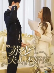 短剧苏少夫人不好惹海报