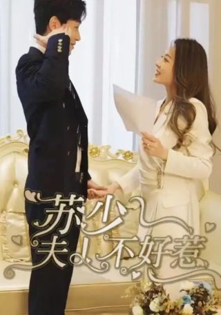 短剧苏少夫人不好惹海报