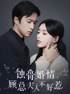 短剧蚀骨婚情：顾总夫人不好惹海报