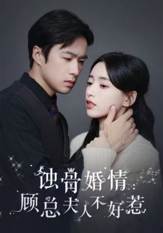 短剧蚀骨婚情：顾总夫人不好惹海报