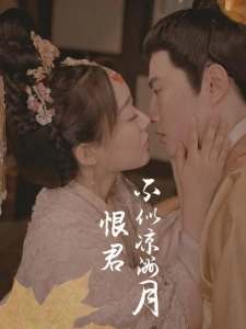 短剧恨君不似凉州月海报