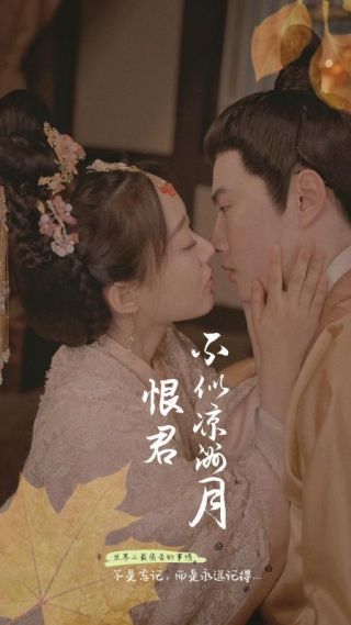 短剧恨君不似凉州月海报