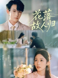 短剧花落故人归海报