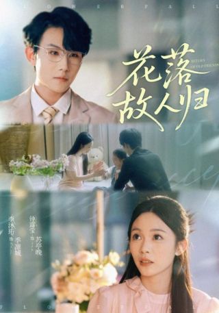 短剧花落故人归海报