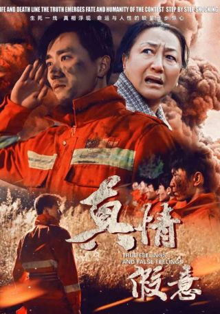 短剧真情假意海报