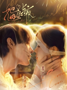 短剧她的昼与夜海报