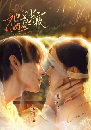 短剧她的昼与夜海报