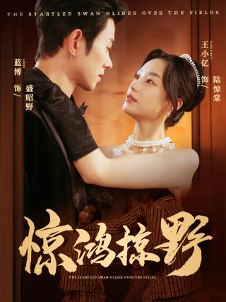 短剧惊鸿掠野海报