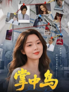 短剧掌中鸟海报