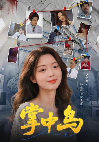 短剧掌中鸟海报