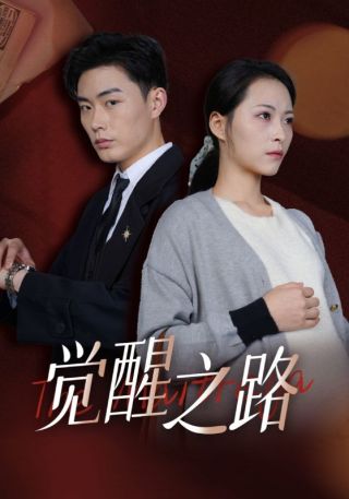 短剧觉醒之路海报