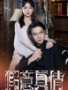 短剧假意真情海报