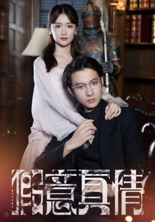 短剧假意真情海报