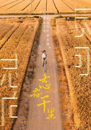 短剧志在千里海报