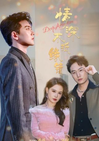 短剧情深不抵缘错海报