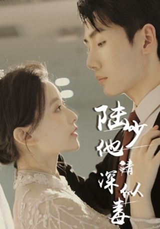 短剧陆少他情深似毒海报