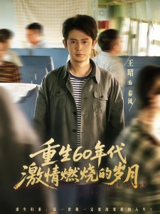 短剧重生60年代激情燃烧的岁月海报