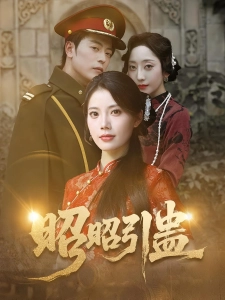 短剧昭昭引蛊海报