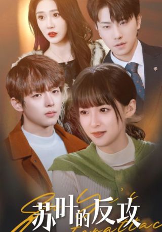 短剧苏叶的反攻海报