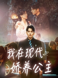 短剧我在现代娇养公主海报