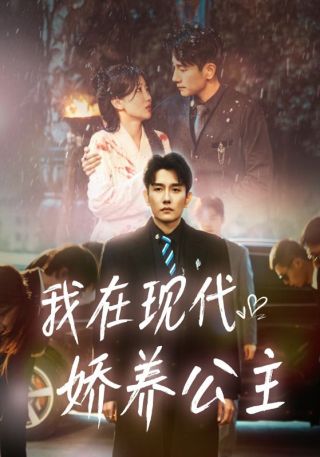 短剧我在现代娇养公主海报