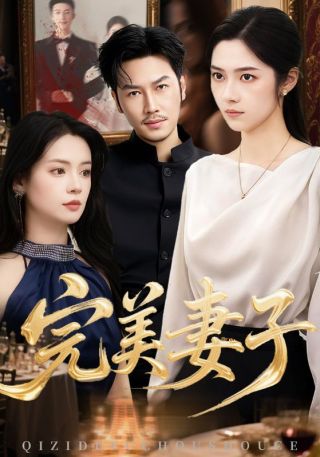 短剧完美妻子海报