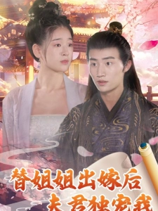 短剧替姐姐出嫁后夫君独宠我海报