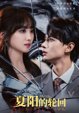 短剧夏阳的轮回海报