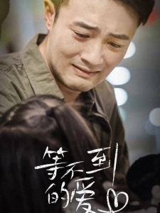 短剧等不到的爱海报