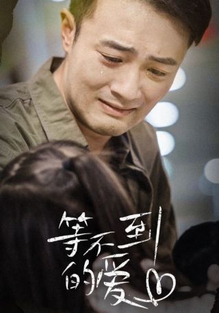 短剧等不到的爱海报