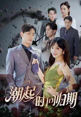 短剧潮起时问归期海报