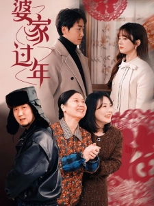 短剧婆家过年海报