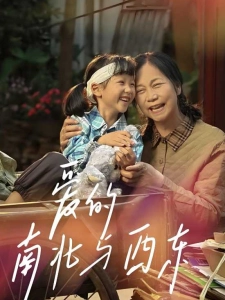 短剧爱的南北与西东海报