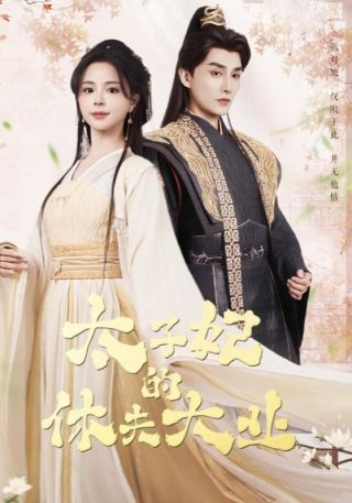 短剧太子妃的休夫大业海报