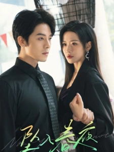 短剧坠入春夜海报